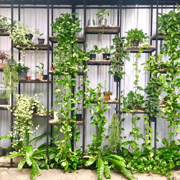 Garden Design Company