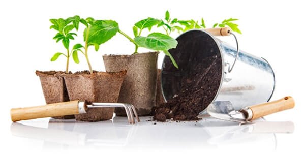 Landscape Design Company