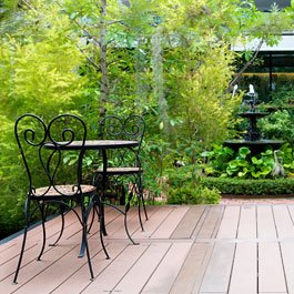 Terrace Garden Designer
